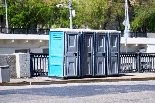 Best Local porta potty services  in Mount Clemens, MI